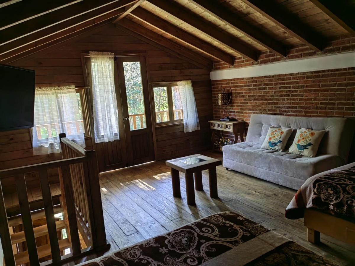 Cabanas Los Laureles Huasca de Ocampo Exterior photo